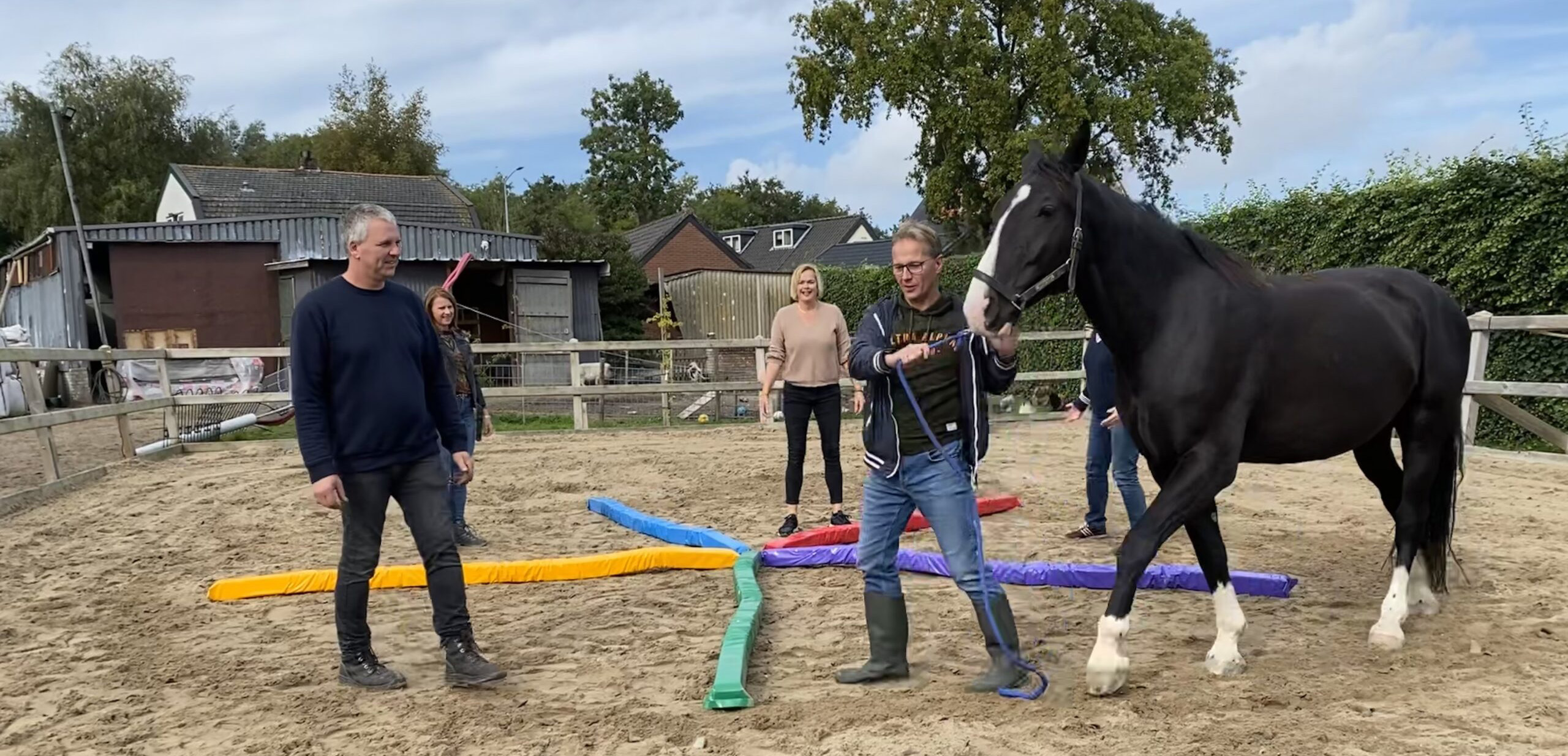 workshops trainingen Coaching met paarden livenjoy